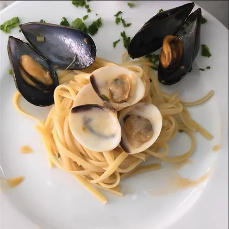 Hotel Club Dominicus Grisolia